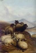 Sheep 192